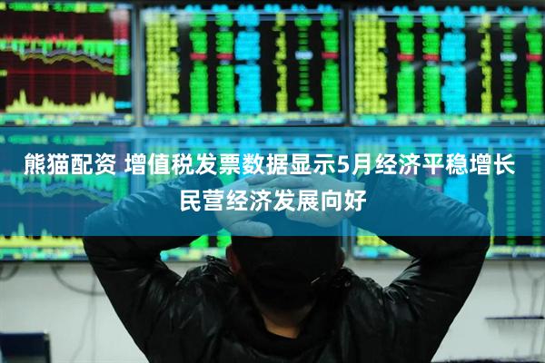 熊猫配资 增值税发票数据显示5月经济平稳增长 民营经济发展向好
