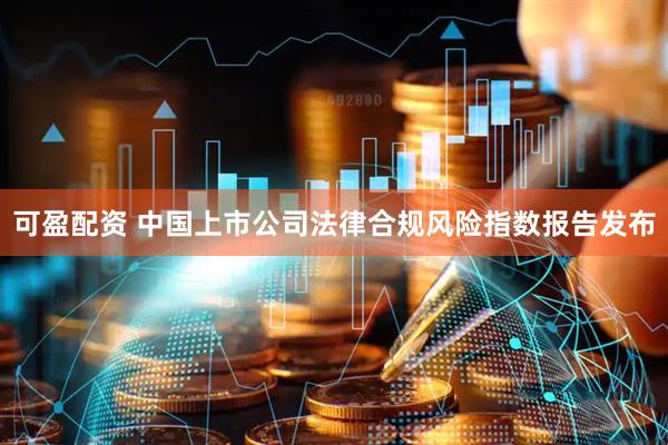可盈配资 中国上市公司法律合规风险指数报告发布