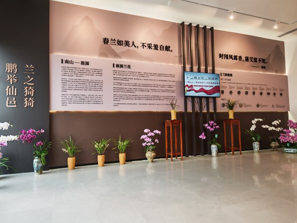 九融配资端 鹏举仙邑 兰之猗猗 翁源兰花展在深圳启幕